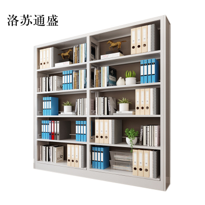 洛苏通盛钢制书架置物架图书馆单双面书店阅览室货架档案架资料架单面一列二常规款