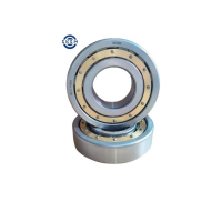 SKSM圆柱滚子轴承NJ2216EM