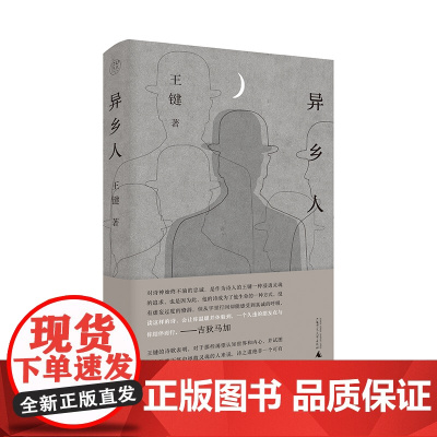 纯粹·异乡人 王键/著 王键 诗歌 纯粹出品 诗集 中国当代 广西师范大学出版社
