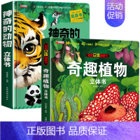 2册:神奇的动物+奇趣植物 [正版]神奇的动物立体书4一6岁以上儿童3d立体书翻翻书3-6-7-8-12岁宝宝绘本故事书