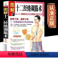 [正版]全方位图解版图解十二经络调筋术经络疏通远离病痛捏筋拍打一身轻经筋手疗法人体经络穴位实用详解图标准大图册治病自疗