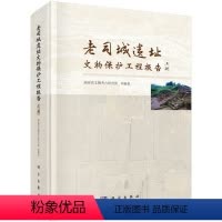 [正版]书籍 老司城遗址文物保护工程报告(全二册) 湖南省文物考古研究所著 历史 文物考古 考古报告 书籍科学出版