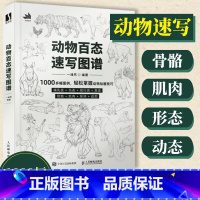 [正版]动物百态速写图谱 速写书速写临摹范本动物速写描摹本新手自学教程素描线描动物插画速写临摹图集线稿临摹画册美术技法