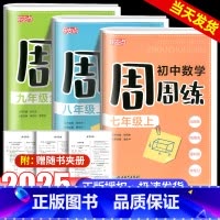 初中数学周周练 九年级/初中三年级 [正版]2025新版乐支点初中数学周周七年级八年级九年级上册下册中学生学科单元设计核