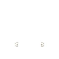 华伦天奴(Valentino)女款金属材质徽标耳饰一对时尚百搭配饰耳钉