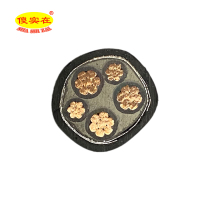 傻实在 电缆 国标全项保检 ZC-YJV22 3*25mm²+2*16mm² 米