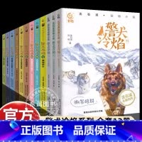 [沈石溪动物小说]警犬冷焰系列12册 [正版]全套沈石溪动物小说全集注音版第七条猎狗后一头战象斑羚飞渡再被狐狸骗一次二三