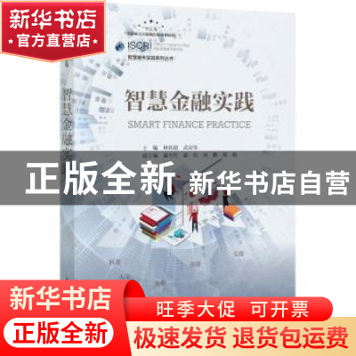 正版 智慧金融实践/智慧城市实践系列丛书 林轶超,武宏伟 人民邮