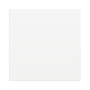 泰迪信 LC1-1 智能灯控开关 1 个