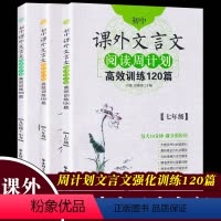 数学几何题 八年级 [正版]全3册 初中文言文7-8-9年级 中考课外阅读理解与专项强化训练120篇 中学生语文扩展阅读