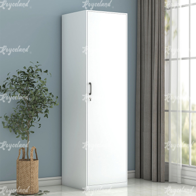 洛诗莲 (RoyceLand) 阳台柜单门衣柜钢制储物柜铁皮柜 白色单门衣柜500mm宽
