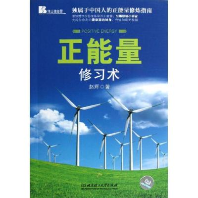 正版新书]正能量修习术:独属于中国人的正能量修炼指南赵辉9787