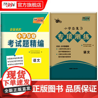 2025版天利38套小学总覆习专项训练语文牛皮卷专项突破练习试卷巩固基础知识模拟试题小升初真题卷2025全套六年级升初中