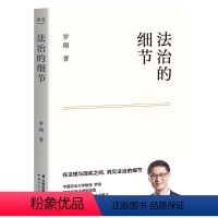 [正版]文 法治的细节 9787222204331 云南人民出版社3
