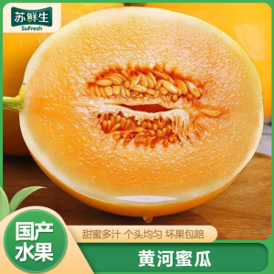 [苏鲜生]新鲜黄河蜜瓜 净重8斤 2-4个