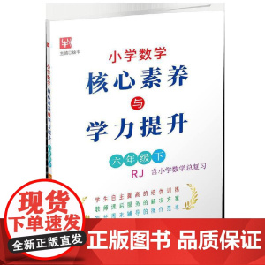 小学数学核心素养与学力提升 六年级6年级下(人教版)