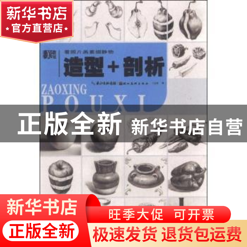 正版 看照片画素描静物:造型+剖析 丁立龙著 湖北美术出版社 9787