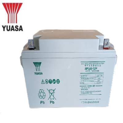 汤浅YUASA 铅酸蓄电池12V65Ah NPL65-12H含配件 只