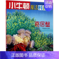 [正版]寄居蟹AR特别版 牛顿出版公司 编写 益智游戏/立体翻翻书/玩具书少儿 书店图书籍 海天出版社