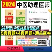[正版]天明2024年中医结合执业助理医师资格考试辅导用书历年真题精解考前绝密押题模拟试卷学海机考仿真通关密卷搭贺银成
