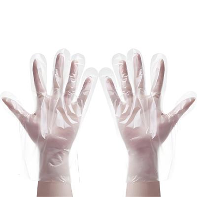 茶花 一次性PE手套(100只)/套