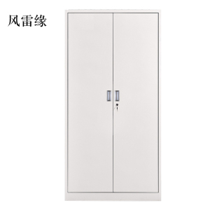 风雷缘钢制资料柜档案柜财务凭证柜带锁储物柜铁皮柜书柜铁开门文件柜