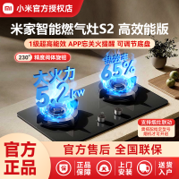 小米米家智能燃气灶S2高效能版家用液化气灶猛火5.2KW双灶