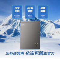 容声 BD/BC-145ZMSA 145升立式单温柜顶开门冰柜一级能效低噪家用商用冷藏冷冻转化冷柜