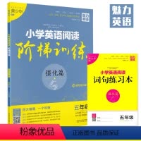 [正版]强化篇五年级 小学英语阅读阶梯训练 魅力英语 小学低年级适用上下册 5年级 阅读听力语法词汇四合一赠词句练习本