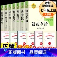 全套7册-七年级上册必读名著(学校推荐版全册) [正版]白洋淀纪事(人民教育出版社)孙犁原著完整版7年级上册初一语文名著