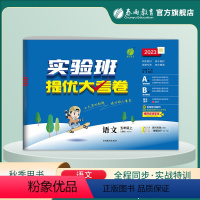 语文 五年级上 [正版]2023年秋 小学语文实验班提优大考卷五年级上册人教版 5年级上册RJ单元基础巩固分层能力提优期