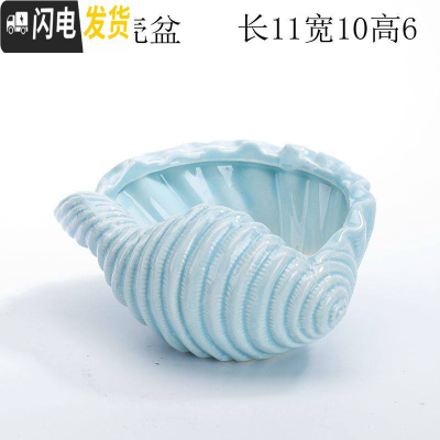 三维工匠少女心创意个性中大号口径拇指好看的多肉植物花盆器陶瓷 浅蓝贝壳盆 中等花盆容器