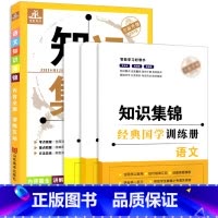 [正版]全新2021小学语文知识大全知识集锦人教版1-6年级基础知识资料包毕业夺冠练习册含小学生小升初基础知识经典国学能