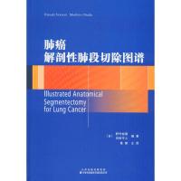 肺癌解剖性肺段切除图谱