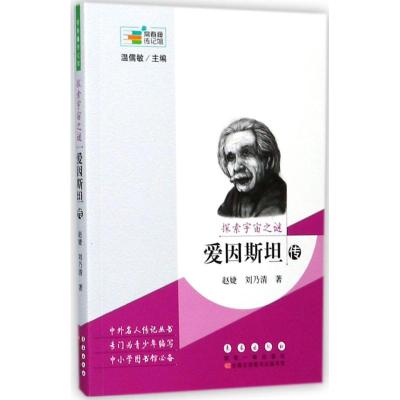 探索宇宙之谜:爱因斯坦传