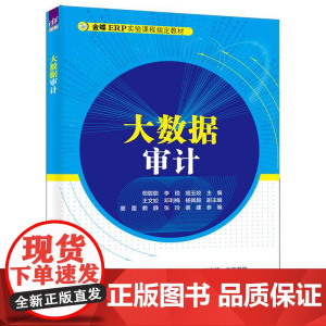 大数据审计