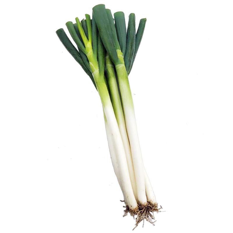大葱山东大葱去皮去叶新鲜蔬菜农家大葱蘸酱 5斤