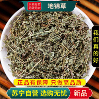 甄选地锦草100克新货正品别名斑地锦草花盖地血见愁红丝草乃汁浆草