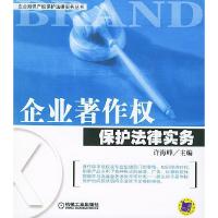 正版新书]企业著作权保护法律实务/企业知识产权保护法律实务丛