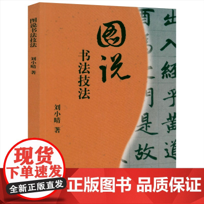 图说书法技法 刘小晴中国书学技法评注书法技法与观念十讲技法图解精解书籍