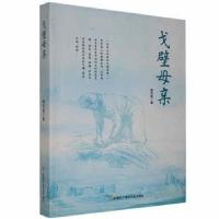 正版新书]《韩天航文集》戈壁母亲韩天航生产建设兵团出版社9787