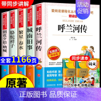 [全套5册]五年级下册必读正版 [正版]全套5册 呼兰河传萧红著城南旧事林海音原著五年级上册下册阅读课外书必读的书目下