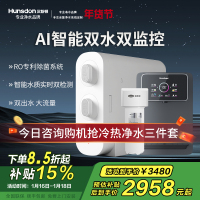汉斯顿/Hunsdon净水器家用厨下式净水机家用直饮净水器C2净水器家用无桶双水大流量过滤器净水器