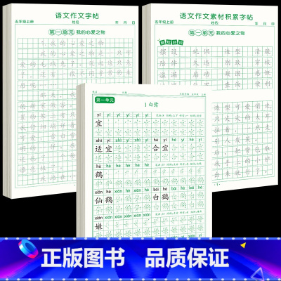 [上册]同步字帖5上+同步作文字帖+素材积累字帖 [正版]五年级上册字帖语文同步练字帖人教版小学生硬笔书法练字本楷书笔画