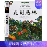 [单本]走进丛林 [正版]知道你爱我 白鲸大奖作家书系 外国儿童文学作品小说 青少年中小学生三四五六七年级课外读物7-1