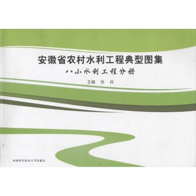 正版新书]安徽省农村水利工程典型图集张肖 主编 著978731203922