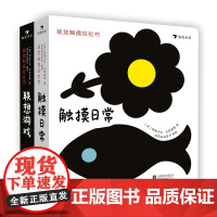 浪花朵朵 视觉触摸拉拉书套装全2册 触摸日常 联想游戏 0至3岁 婴幼儿早教认知 宝宝视觉触觉发育形状感知