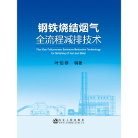 音像钢铁烧结烟气全流程减排技术叶恒棣