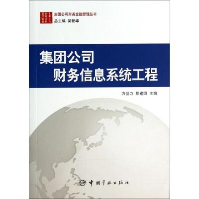 正版新书]集团公司财务信息系统工程/集团公司财务金融管理丛书