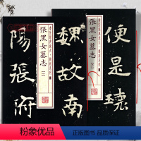 [正版]共2本张黑女墓志1-2书法放大铭刻系列北魏楷书毛笔字帖书法成人学生临摹帖练习张玄碑帖随机选字本籍上海书画出版社